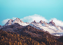 意甲2025-世界人形机器人运动会100米：灵翌科技率先冲线，但天工夺冠